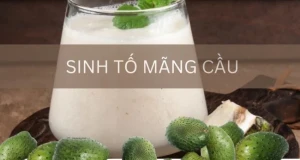 Top 10 công thức sinh tố mãng cầu ngon và bổ dưỡng
