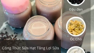 Công Thức Sữa Hạt Tăng Lợi Sữa, Hỗ Trợ Giảm Cân