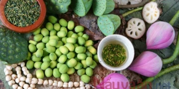 10 công dụng tuyệt vời của hạt sen đối với sức khỏe và sắc đẹp mà bạn nhất định phải biết.